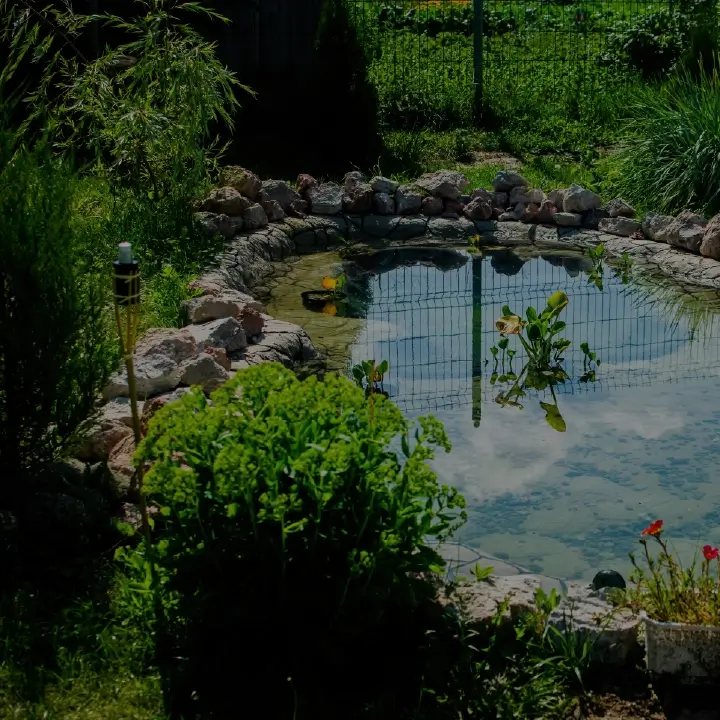 Pond builder software